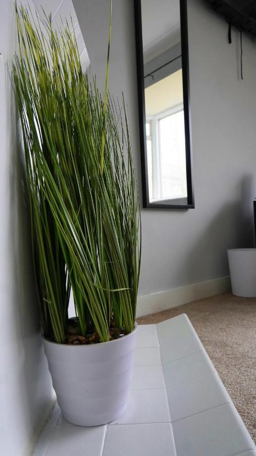 Portobello House - Four Bedroom House Perfect For Contractors - Sleeps 6 - Free Parking Wolverhampton Eksteriør bilde